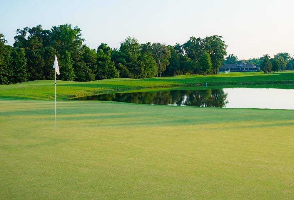 iz4-3916-web-cropped_orig